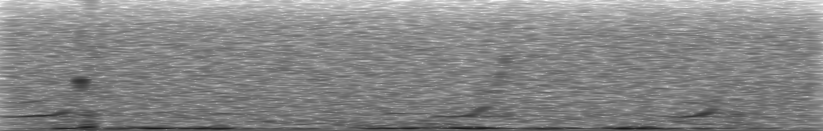 [Loading Spectrogram]