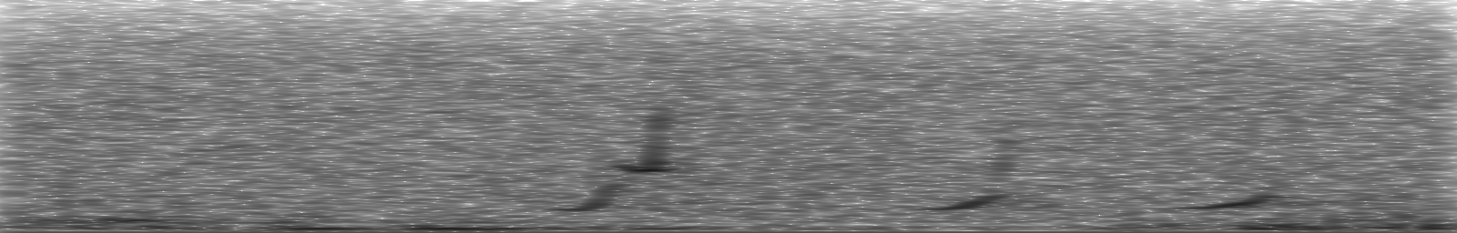 [Loading Spectrogram]