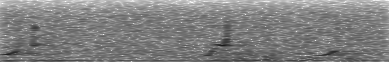 [Loading Spectrogram]