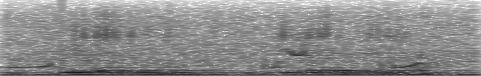 [Loading Spectrogram]