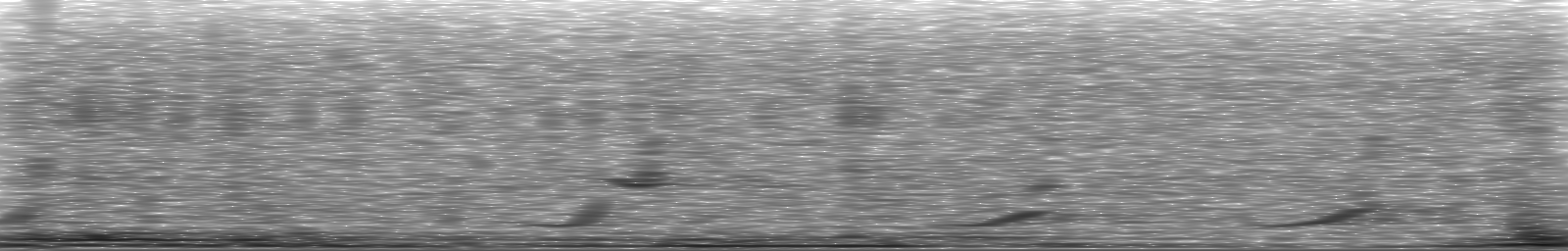 [Loading Spectrogram]