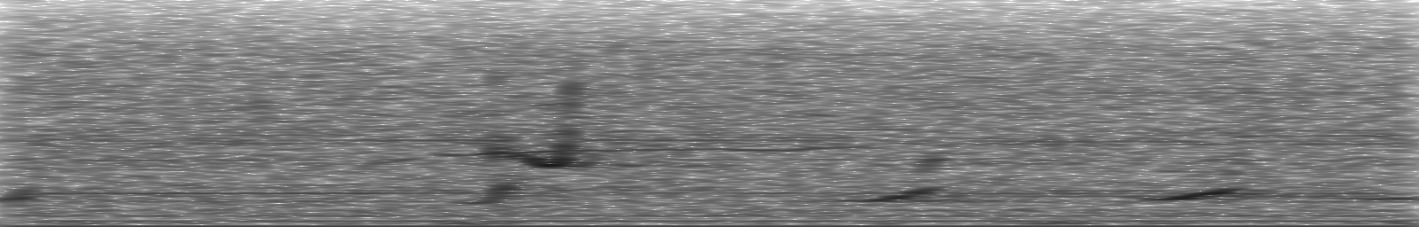 [Loading Spectrogram]