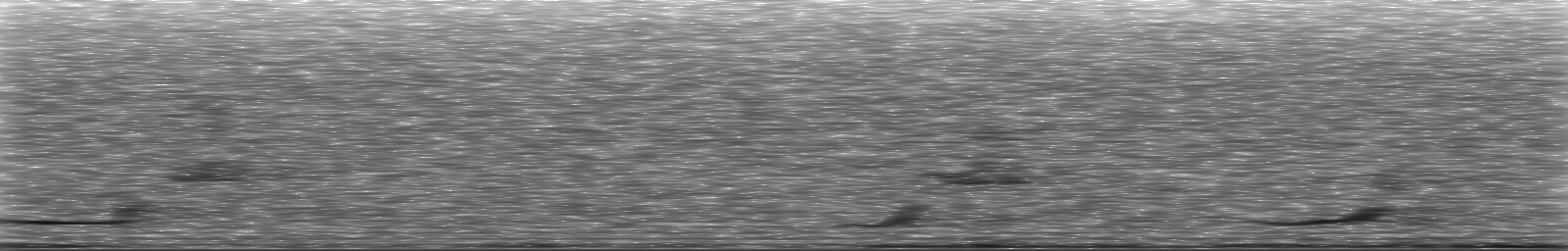 [Loading Spectrogram]