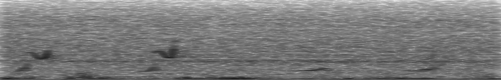 [Loading Spectrogram]