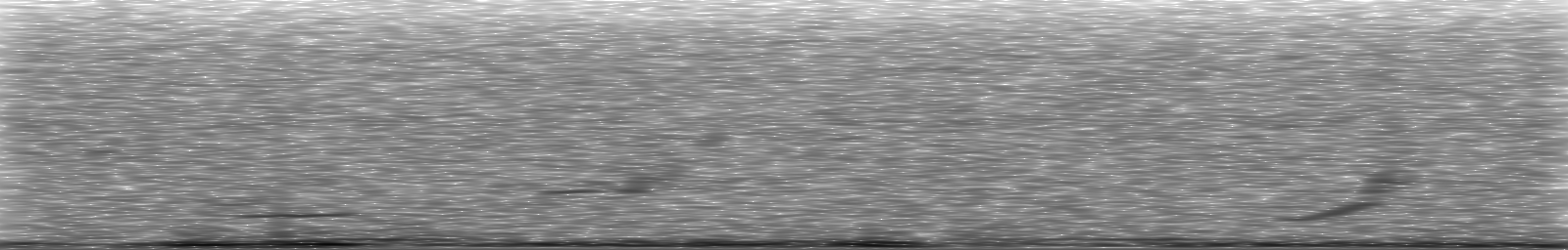 [Loading Spectrogram]