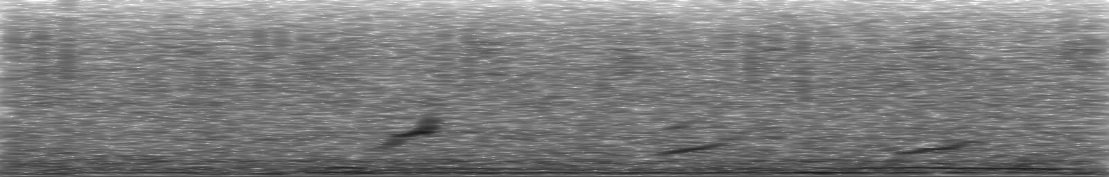 [Loading Spectrogram]