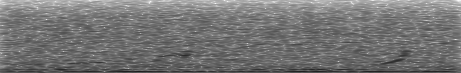 [Loading Spectrogram]