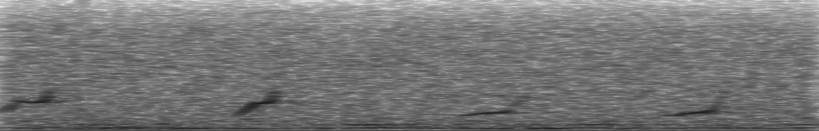 [Loading Spectrogram]