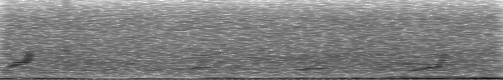 [Loading Spectrogram]