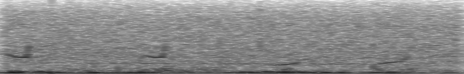 [Loading Spectrogram]