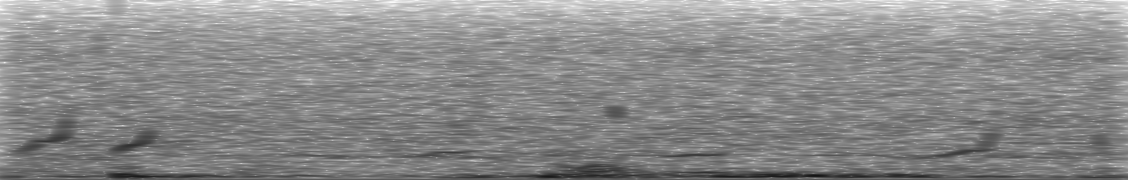 [Loading Spectrogram]