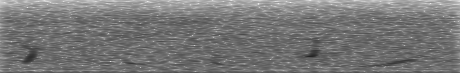 [Loading Spectrogram]