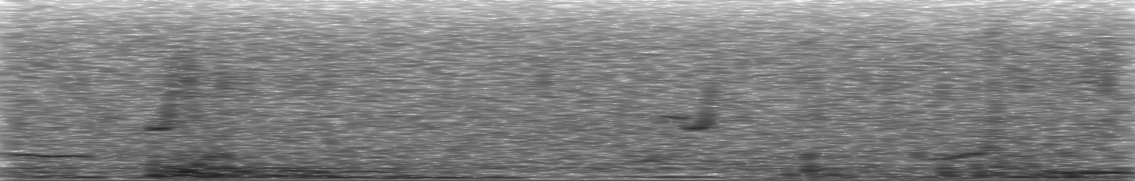 [Loading Spectrogram]