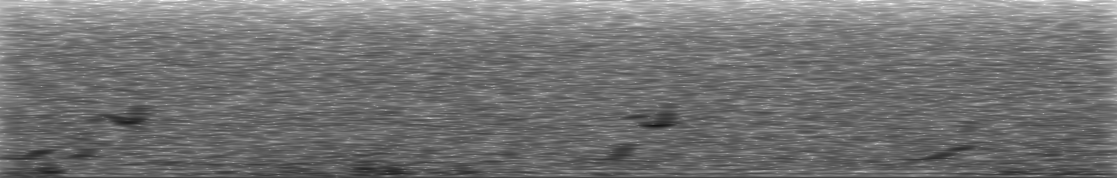 [Loading Spectrogram]