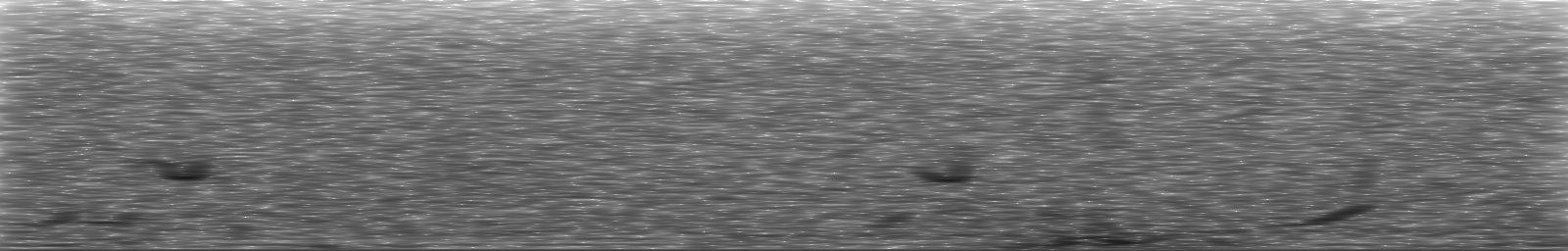 [Loading Spectrogram]