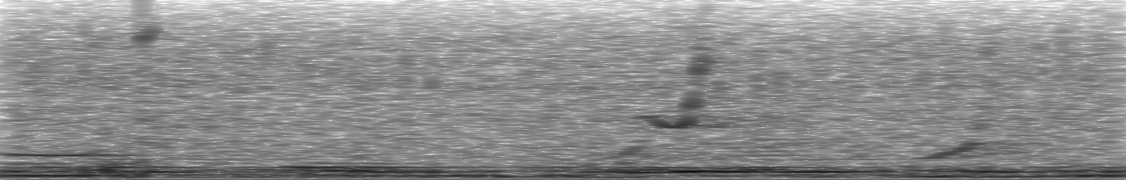 [Loading Spectrogram]