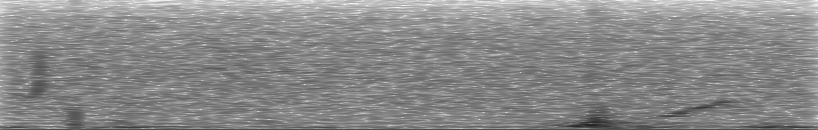 [Loading Spectrogram]