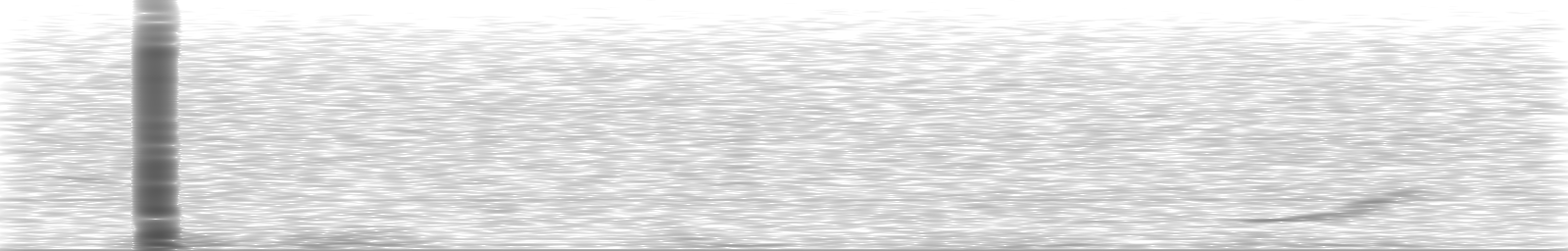 [Loading Spectrogram]