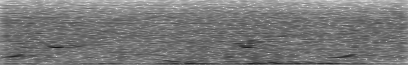 [Loading Spectrogram]