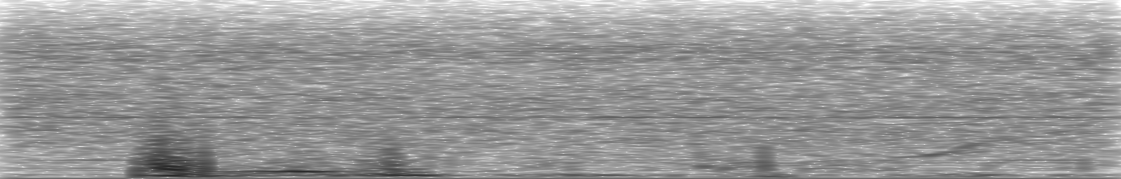 [Loading Spectrogram]