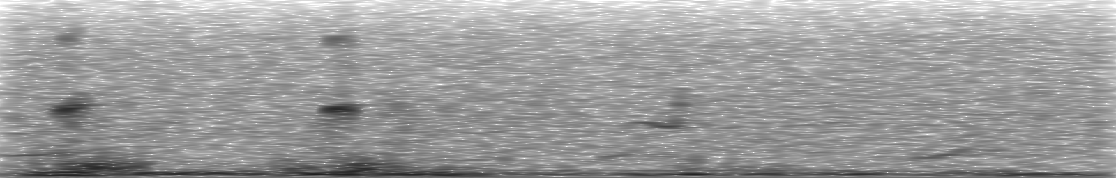 [Loading Spectrogram]