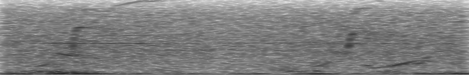 [Loading Spectrogram]