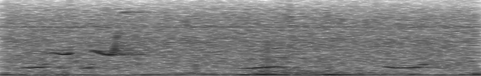 [Loading Spectrogram]