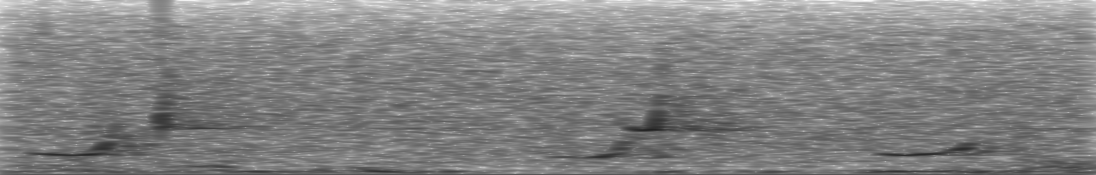 [Loading Spectrogram]