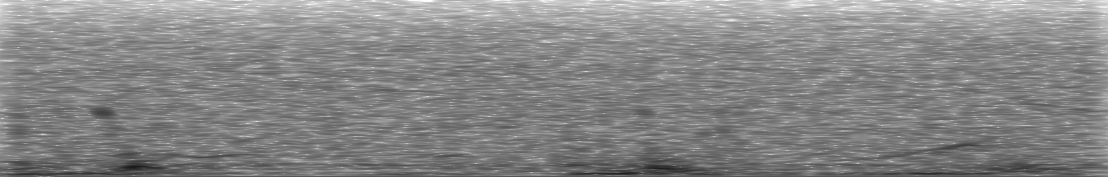 [Loading Spectrogram]