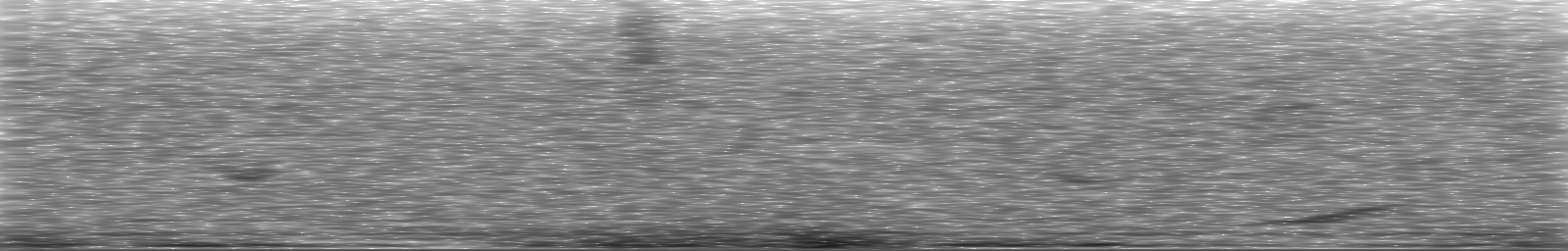 [Loading Spectrogram]