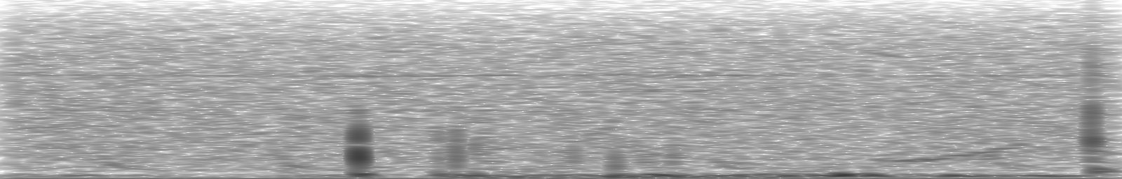 [Loading Spectrogram]