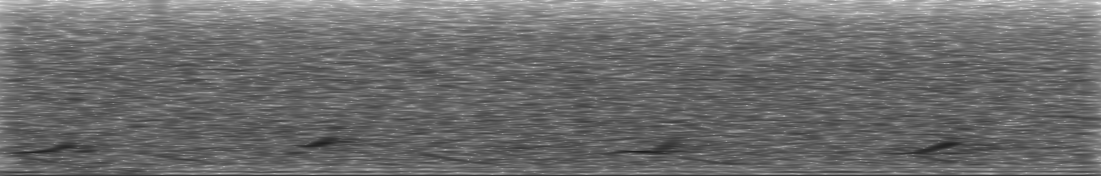 [Loading Spectrogram]