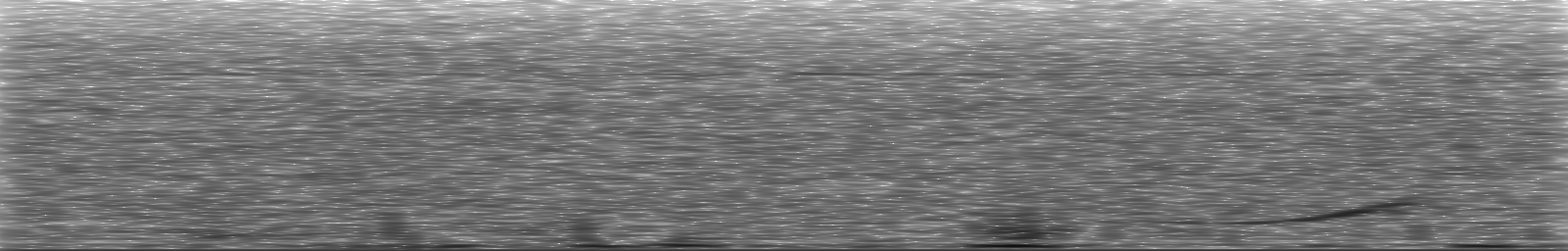 [Loading Spectrogram]