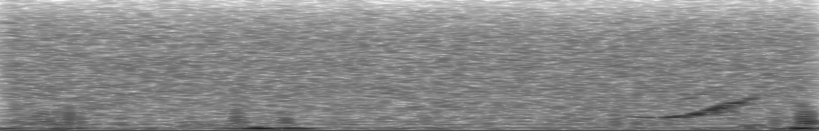 [Loading Spectrogram]