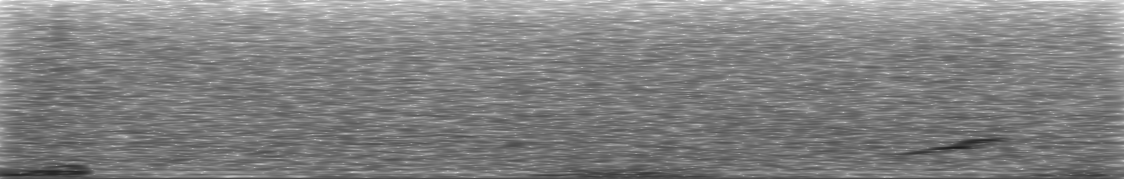 [Loading Spectrogram]