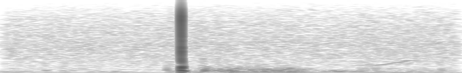 [Loading Spectrogram]