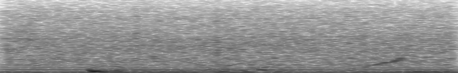 [Loading Spectrogram]