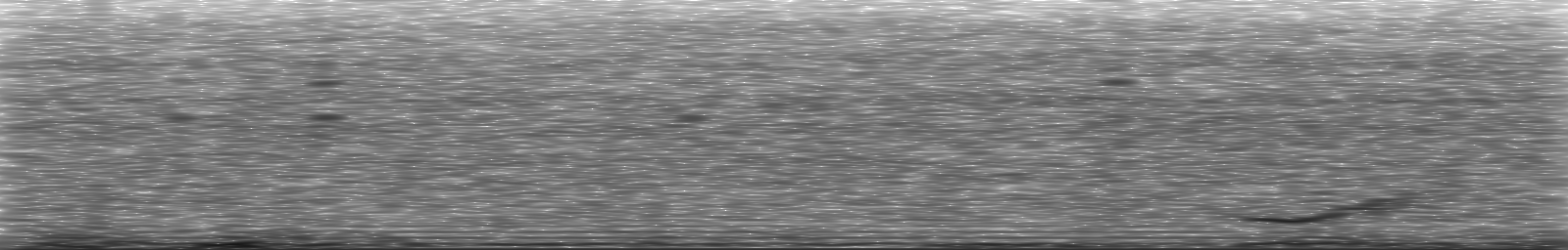 [Loading Spectrogram]