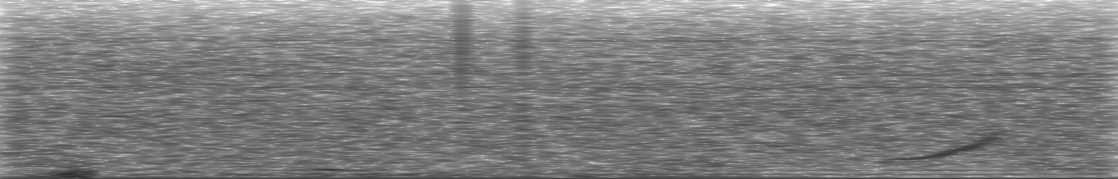 [Loading Spectrogram]