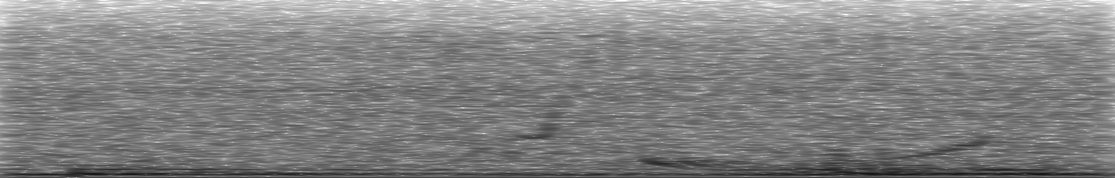 [Loading Spectrogram]