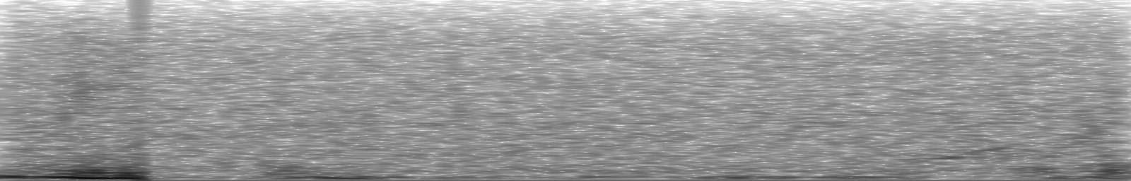 [Loading Spectrogram]