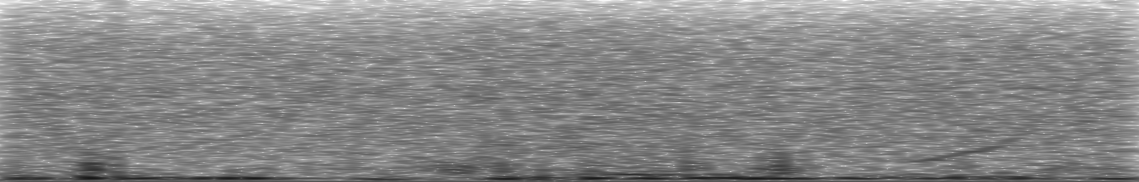 [Loading Spectrogram]