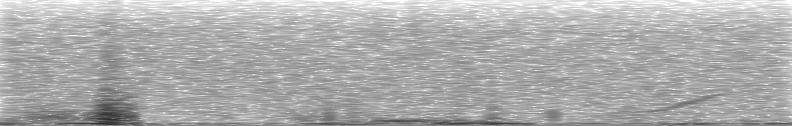 [Loading Spectrogram]