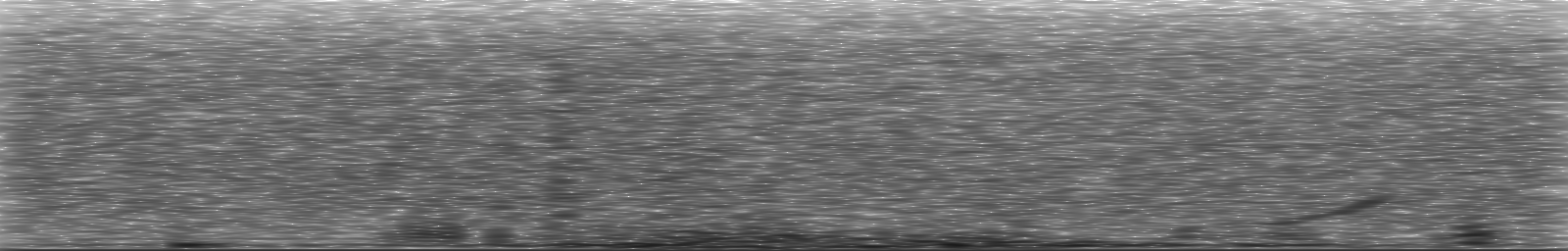 [Loading Spectrogram]