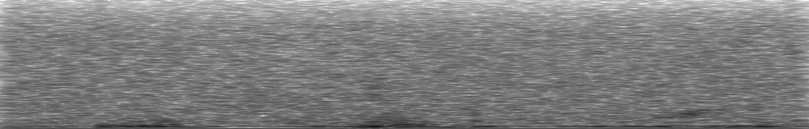 [Loading Spectrogram]