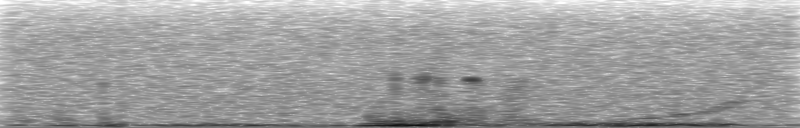 [Loading Spectrogram]