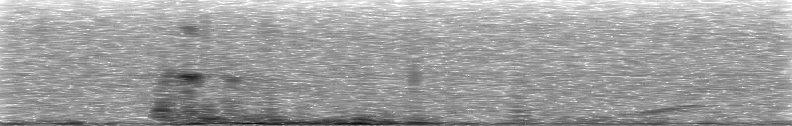 [Loading Spectrogram]