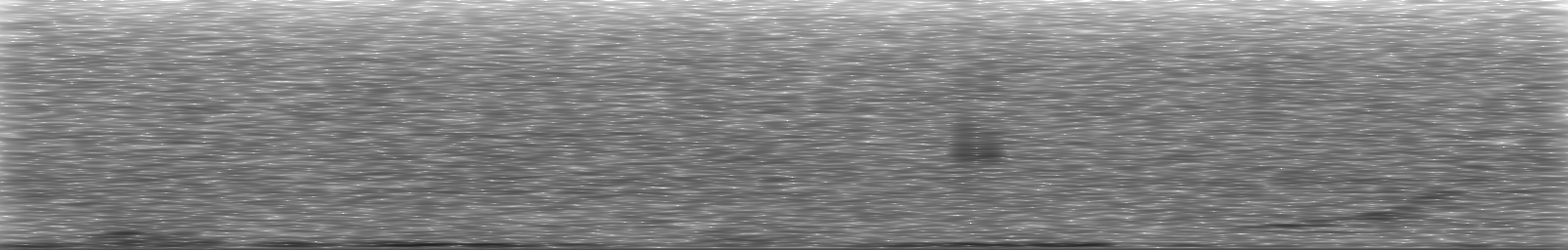 [Loading Spectrogram]