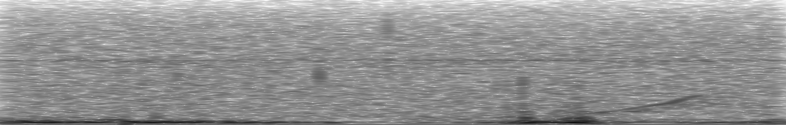 [Loading Spectrogram]