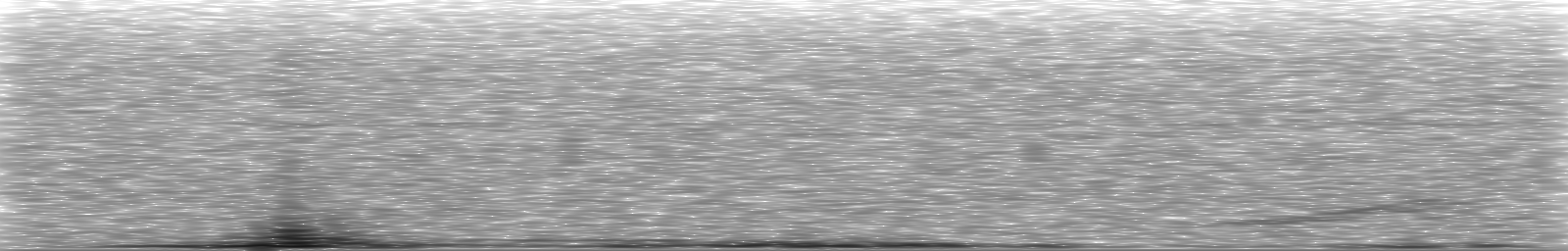 [Loading Spectrogram]